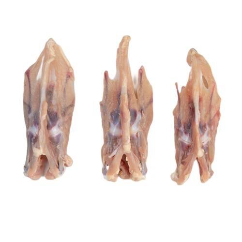 Vand hrana pentru caini si pisici.